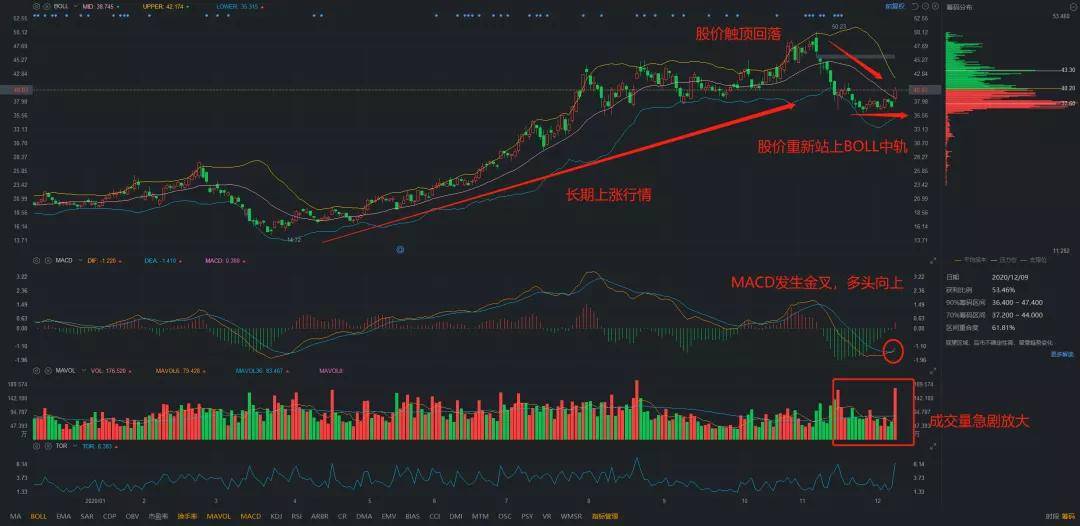 歌爾股票，小巷深處的隱藏寶藏揭秘，特色小店的股市奇妙之旅
