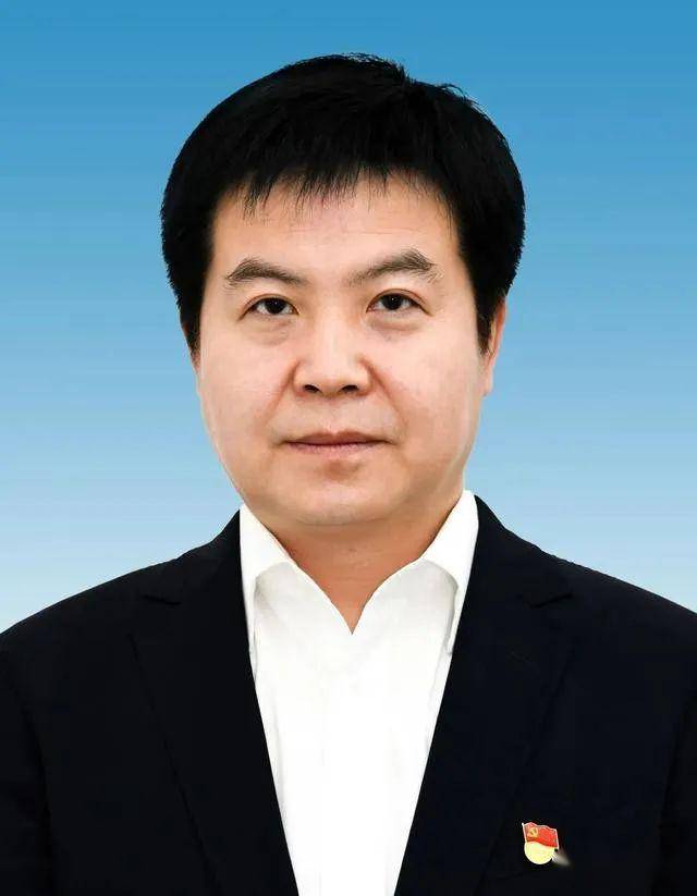 陜西人事任命最新動態(tài)揭秘，人事任命步驟指南