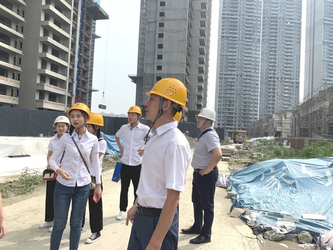 成都洺悅府最新動(dòng)態(tài)揭秘，科技府邸，未來生活搶先體驗(yàn)