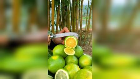 平湖最新資訊，城市脈動與成長見證