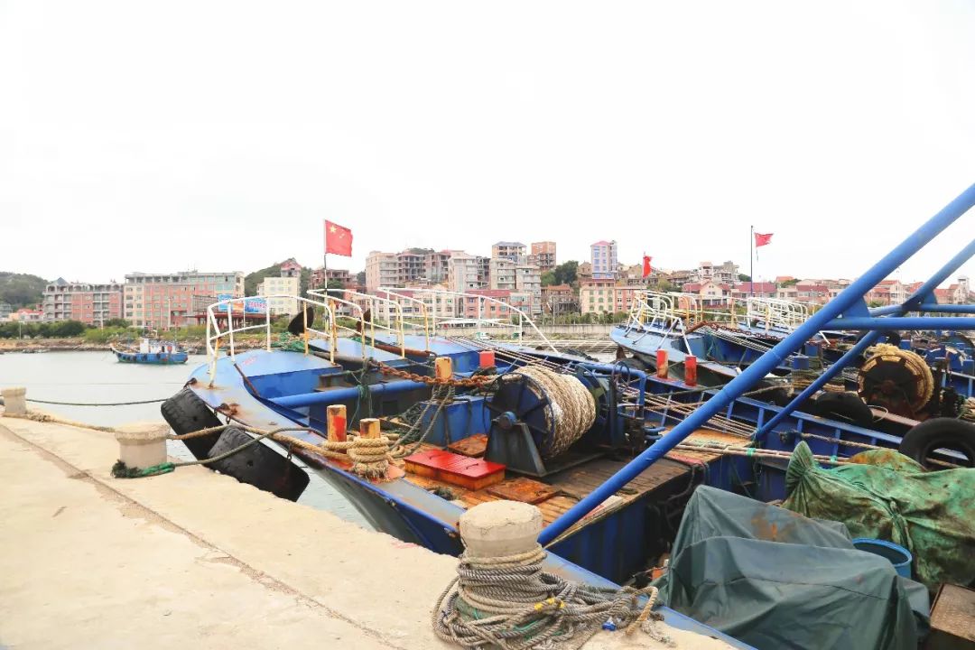 最新漁船更新補(bǔ)貼政策及步驟指南解讀