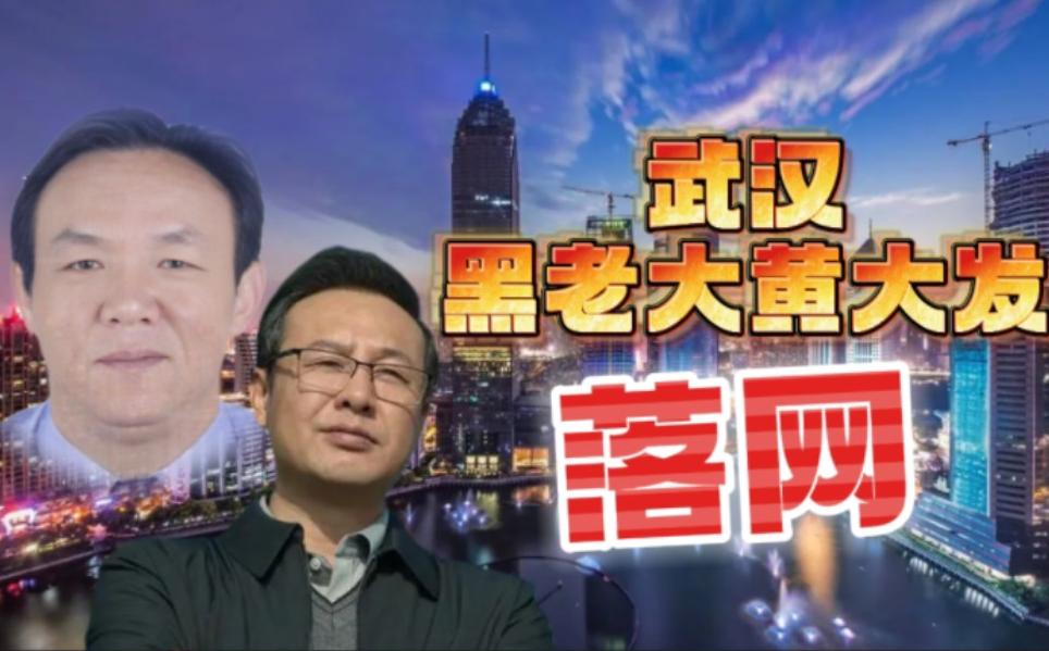 湖北涂勇最新動態(tài)，擁抱自然，心靈寧靜之旅探尋記