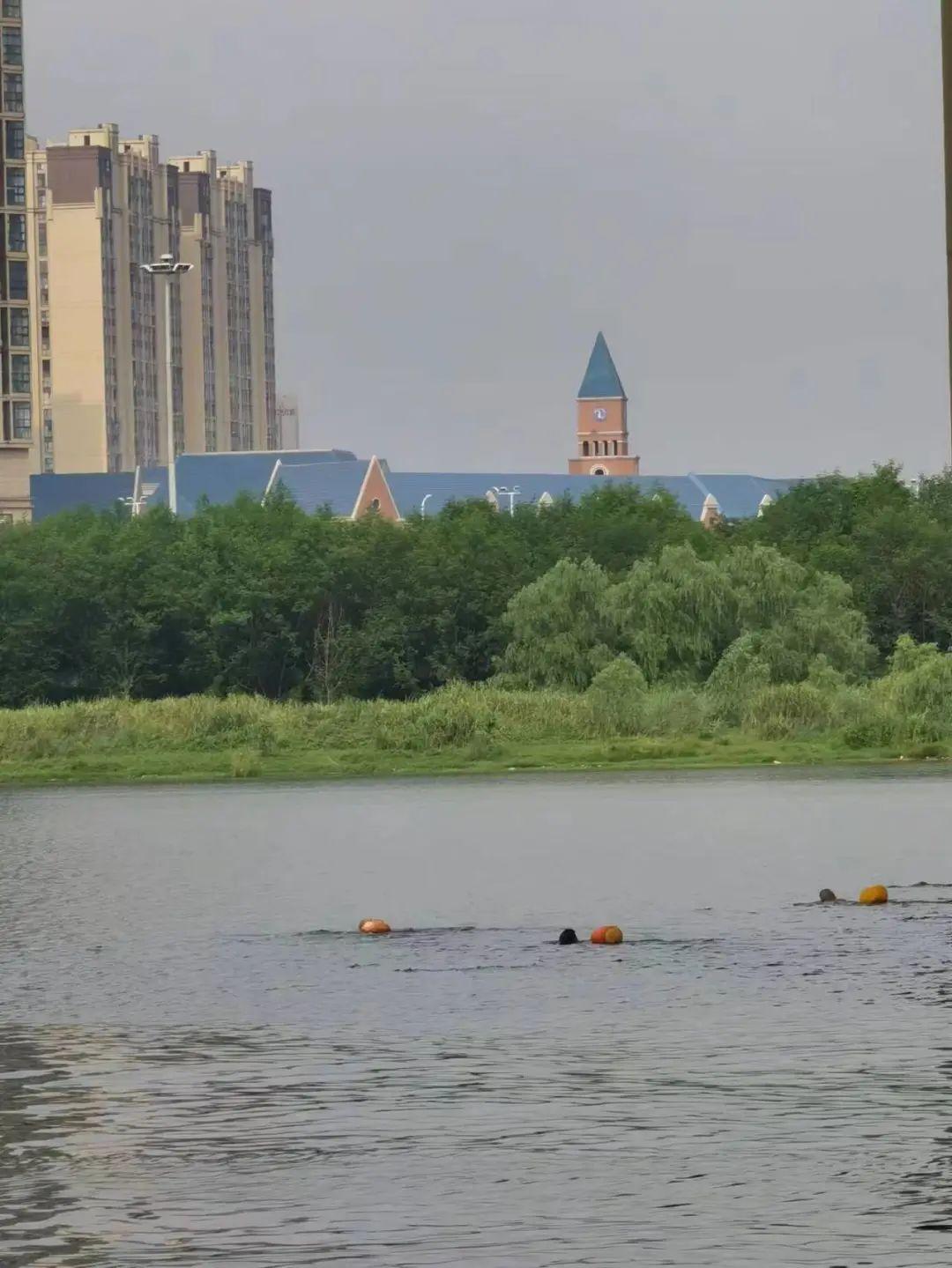 最新野泳之旅，自然美景的探索與愉悅體驗(yàn)