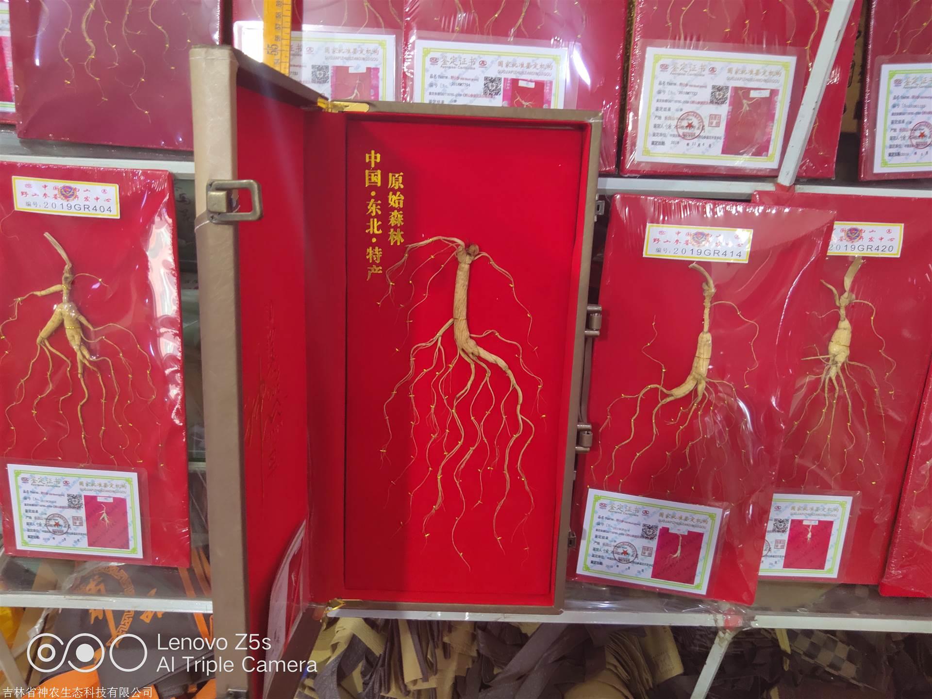 人參價格解析，市場走勢、品質(zhì)差異及影響因素深度探討