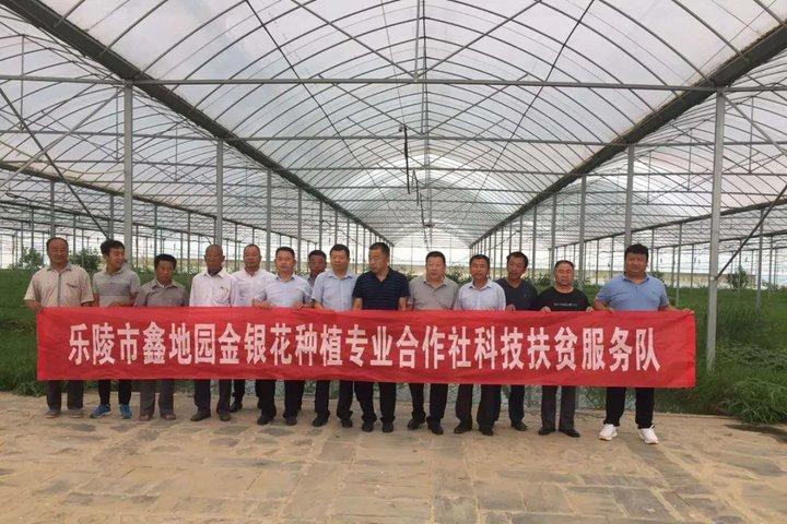 新型環(huán)剝設(shè)備，小巷中的科技新星