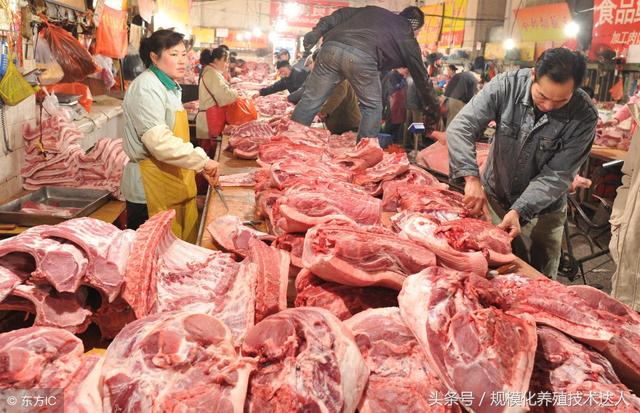 科技助力豬肉價(jià)格跟蹤，智能監(jiān)控，洞悉未來市場動態(tài)