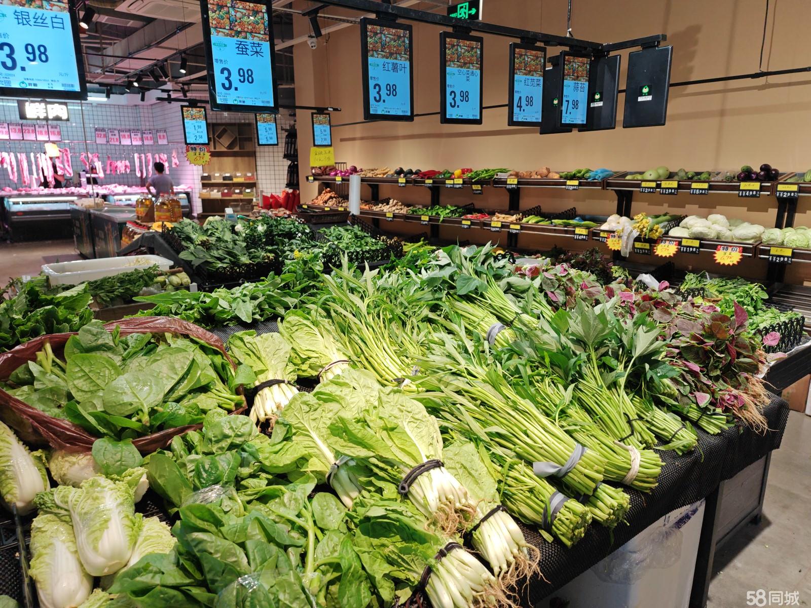 辦公設(shè)備租賃服務(wù) 第158頁