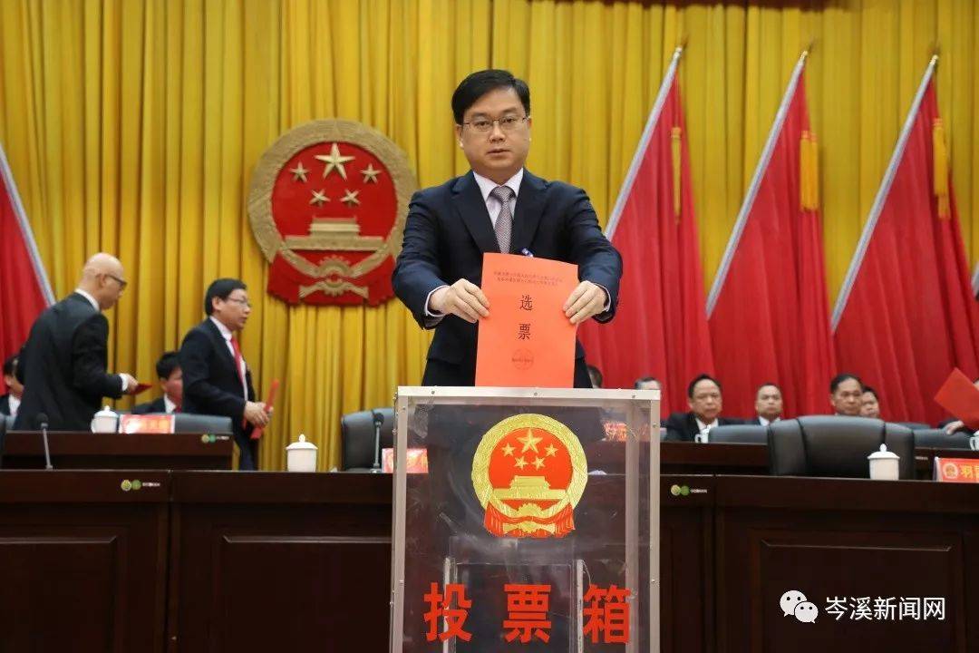 岑溪人事任免信息詳解，獲取指南及初學者進階指南