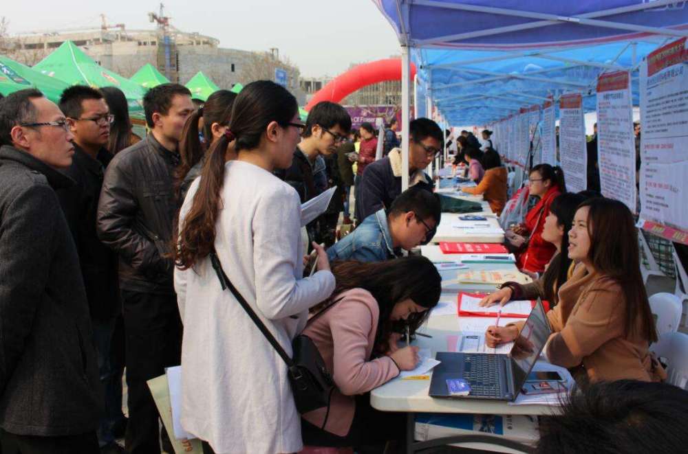 趙縣工廠最新招工信息及其論述