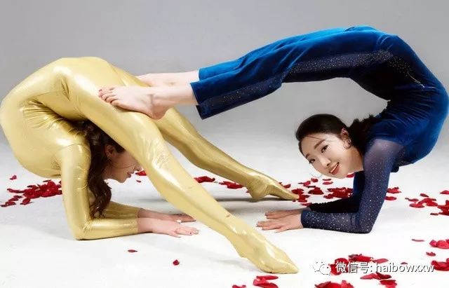 柔術(shù)資訊深度解析，探索世界聚焦要點