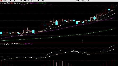 600297股票行情深度解析