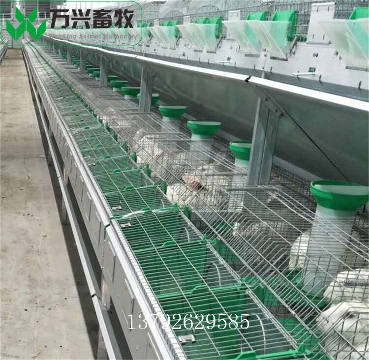 革新養(yǎng)兔業(yè)，新型兔籠引領(lǐng)里程碑式發(fā)展