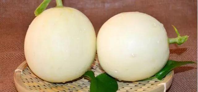 莘縣燕店鎮(zhèn)甜瓜價(jià)格，時(shí)代甜香記憶的探尋