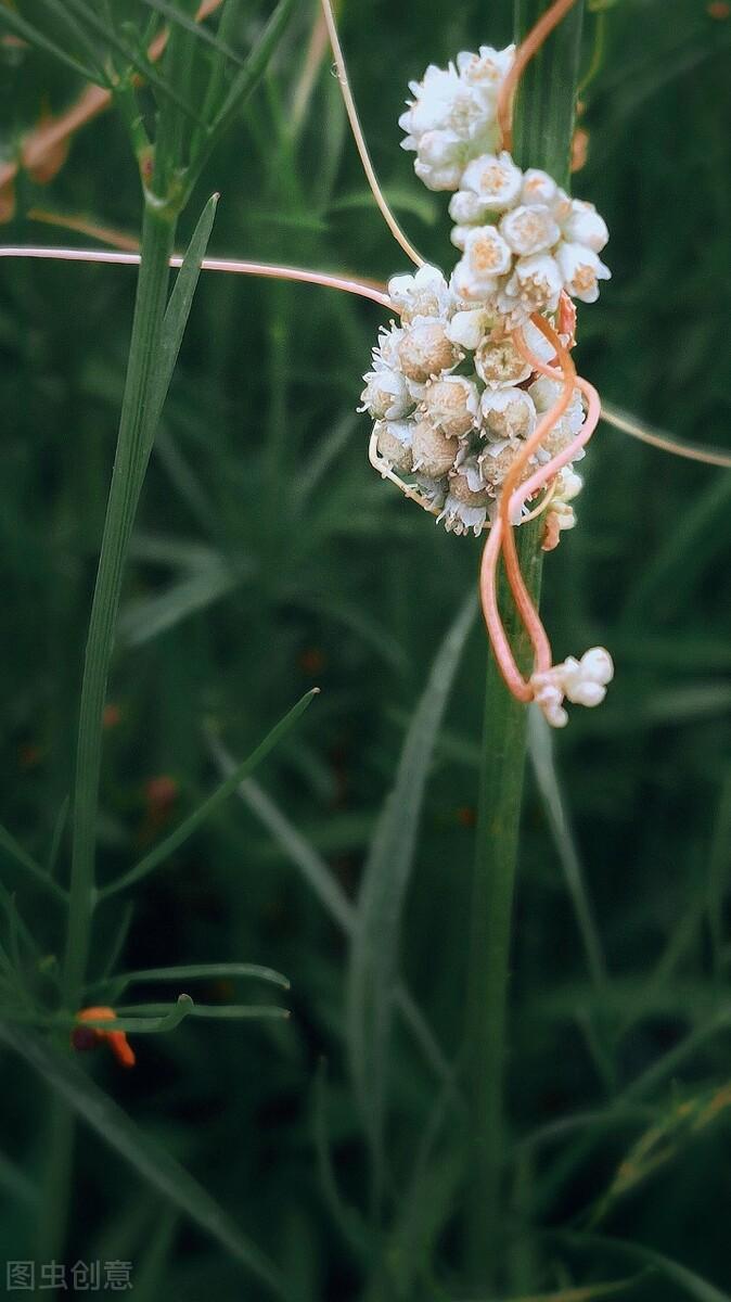 綜合布線 第97頁
