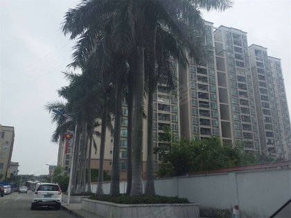 淮北南湖雅苑最新動(dòng)態(tài)更新