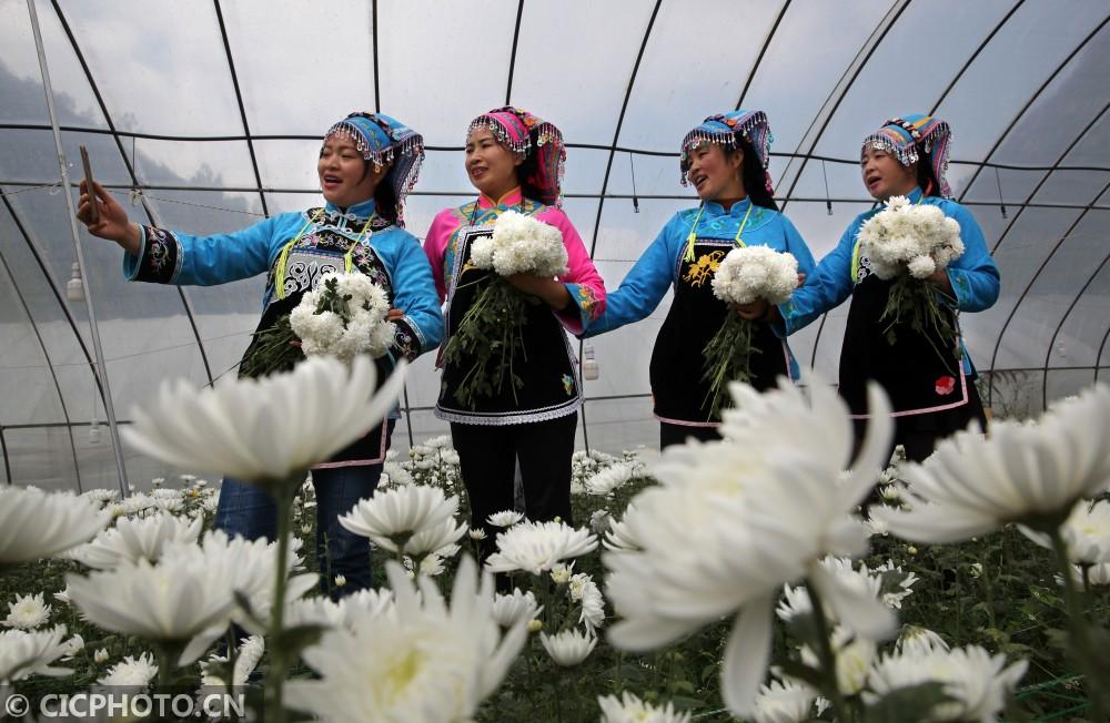 黔西縣鐘山鎮(zhèn)最新動態(tài)，溫馨日常的點(diǎn)滴記錄