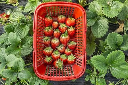 水悅龍庭證件最新進展，自然美景探索之旅啟幕