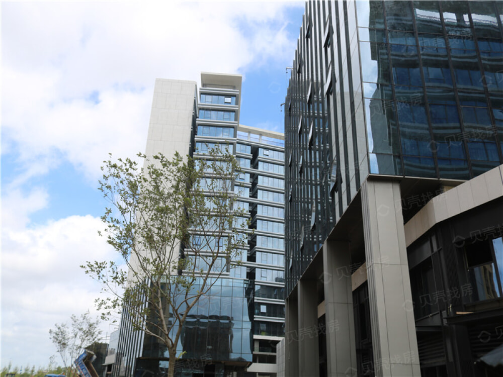 蔚藍創(chuàng)新天地最新動態(tài)揭秘，科技小子的日常趣事