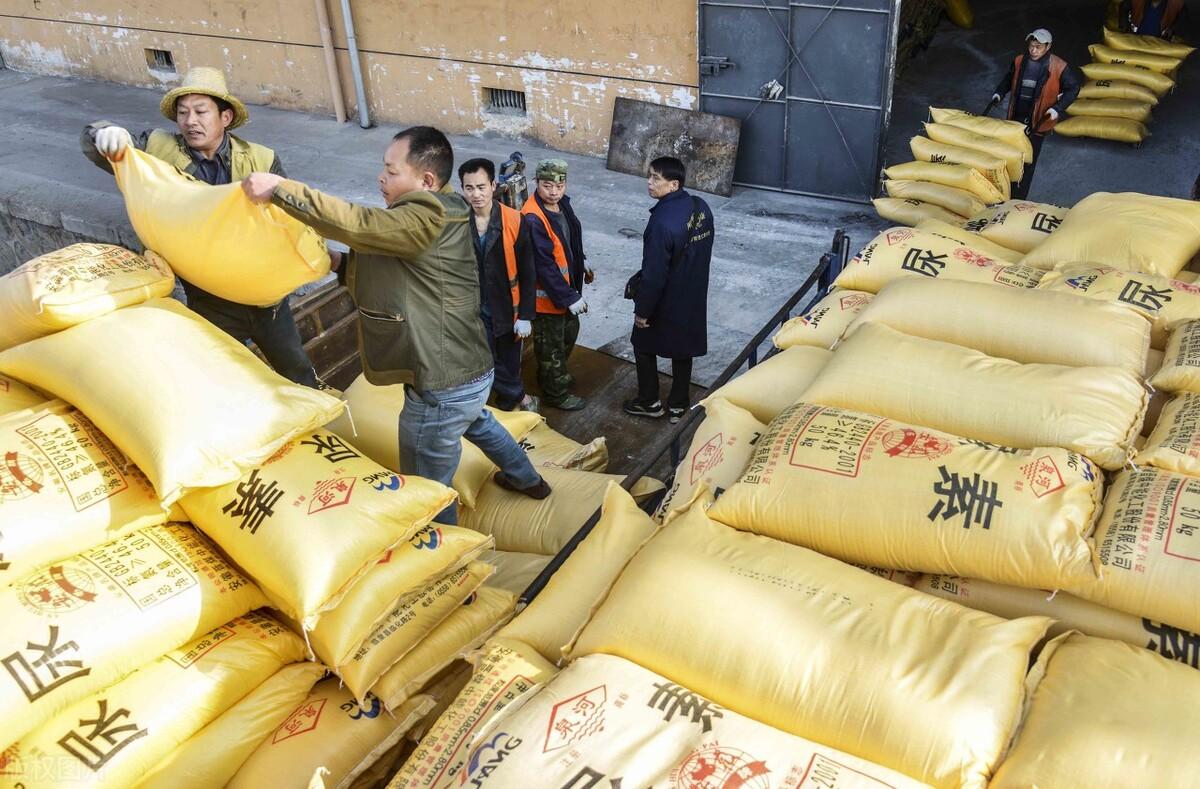 全國尿素最新價格，科技重塑生活下的新面貌