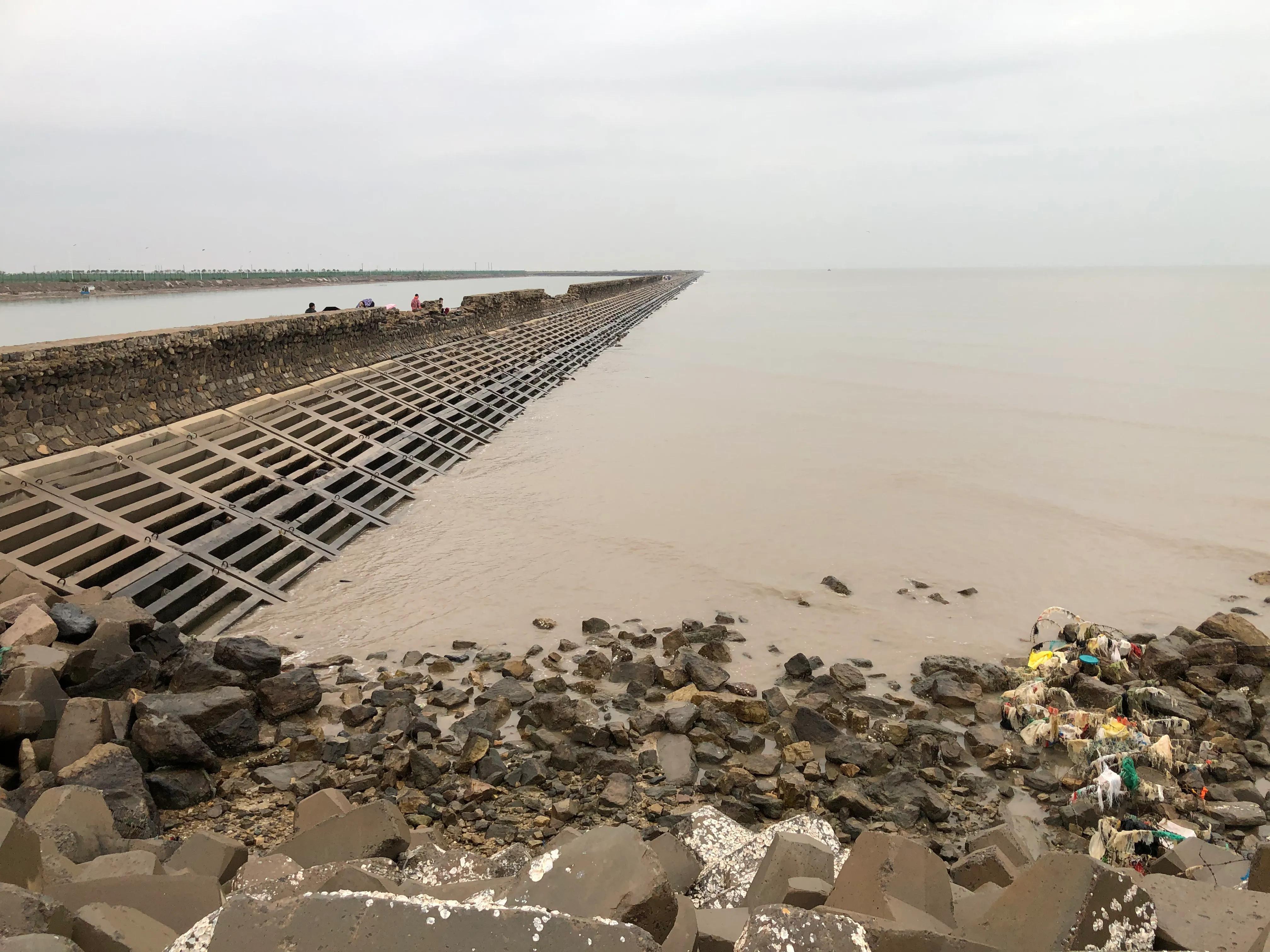 黃驊港最新招聘動(dòng)態(tài)，日常招聘故事與友情紐帶