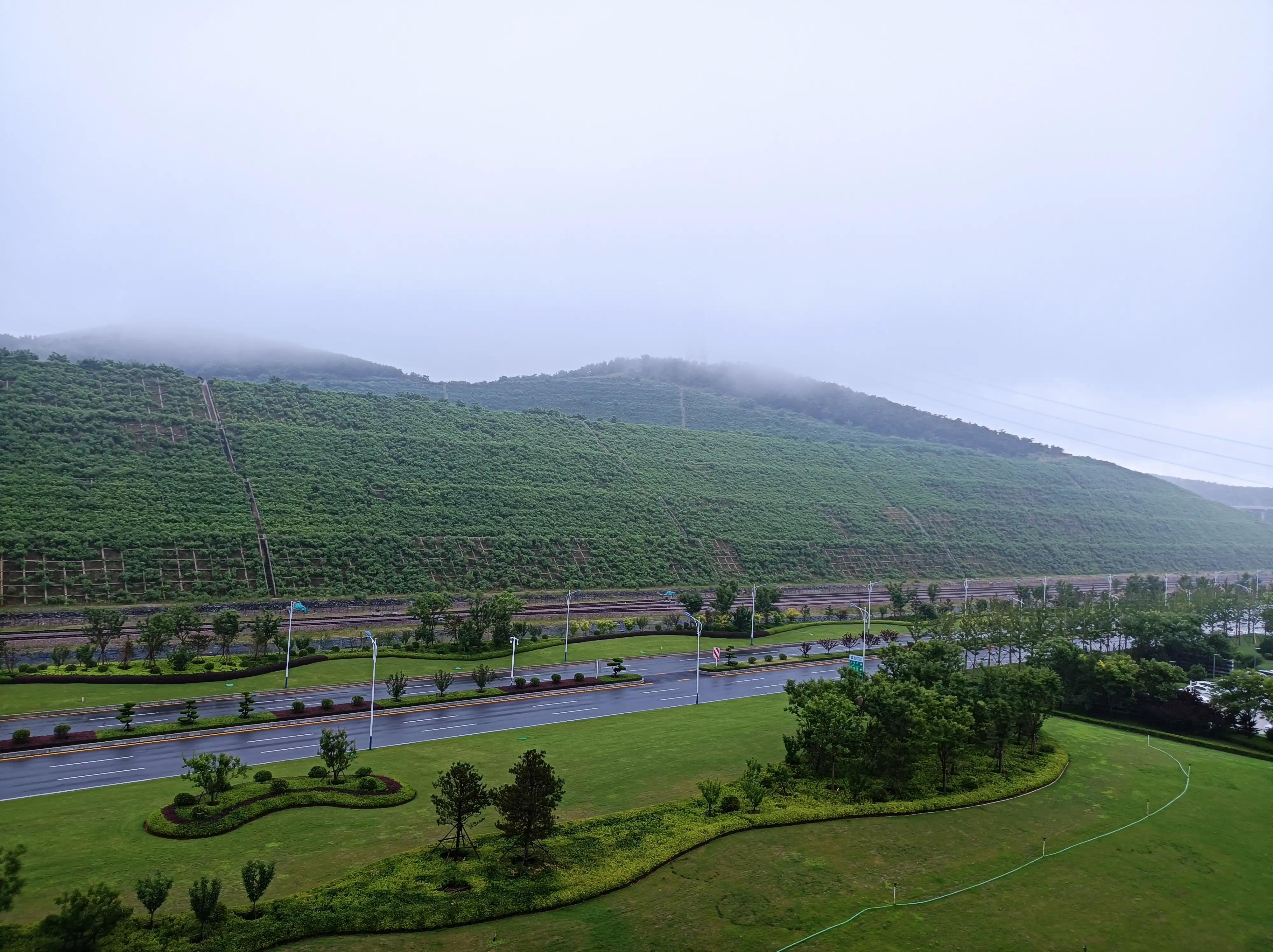 大連長興島最新動態(tài)更新