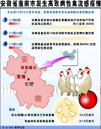 禽流感最新動態(tài)與全面應(yīng)對步驟指南