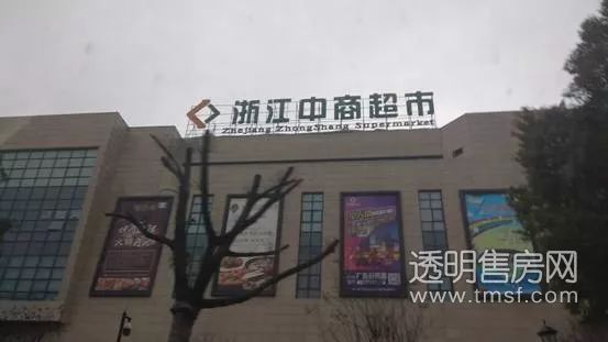 蕭山義橋最新招聘大揭秘，職位信息全面更新????