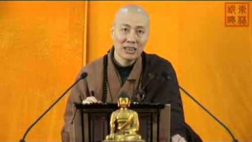 凈宗直播最新版，探索純凈心靈世界的旅程