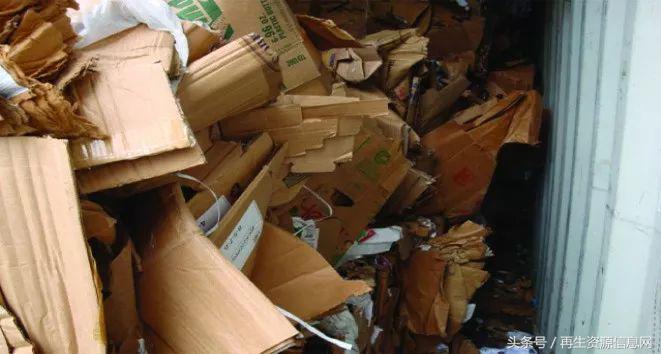 進(jìn)口廢紙最新政策下的隱秘寶藏探索，特色小店探秘之旅