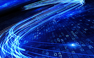 山東德州毛豬價(jià)格動(dòng)態(tài)，機(jī)遇與自我超越的征程