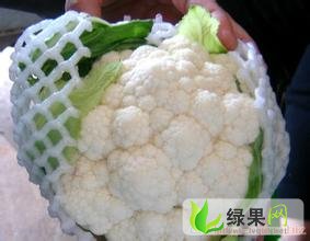 江蘇花菜價(jià)格最新動(dòng)態(tài)更新