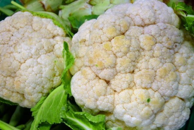 江蘇花菜價格最新動態(tài)更新