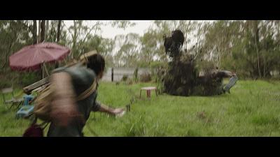 自然共舞的心靈之旅，最新狗狗電影鼓舞人心