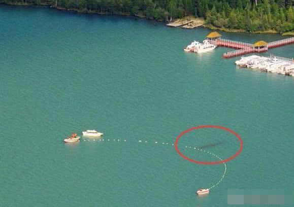 喀納斯湖水怪真相揭秘，探尋神秘之旅的心靈平靜之路