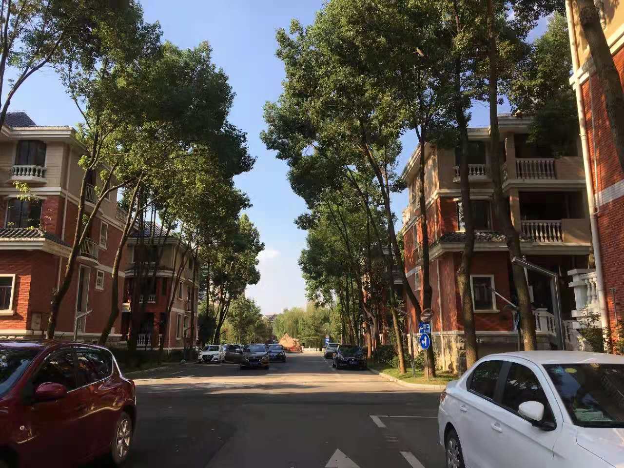 武漢卓峰地產(chǎn)最新動態(tài)揭秘，最新進展與動態(tài)更新