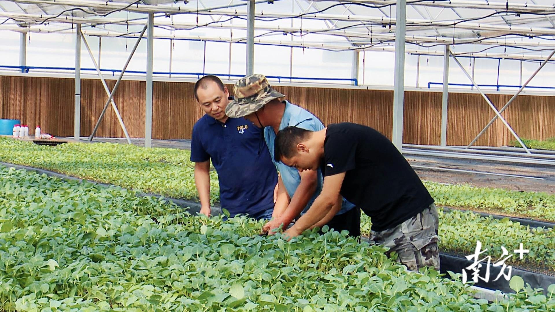 辦公打印 第4頁